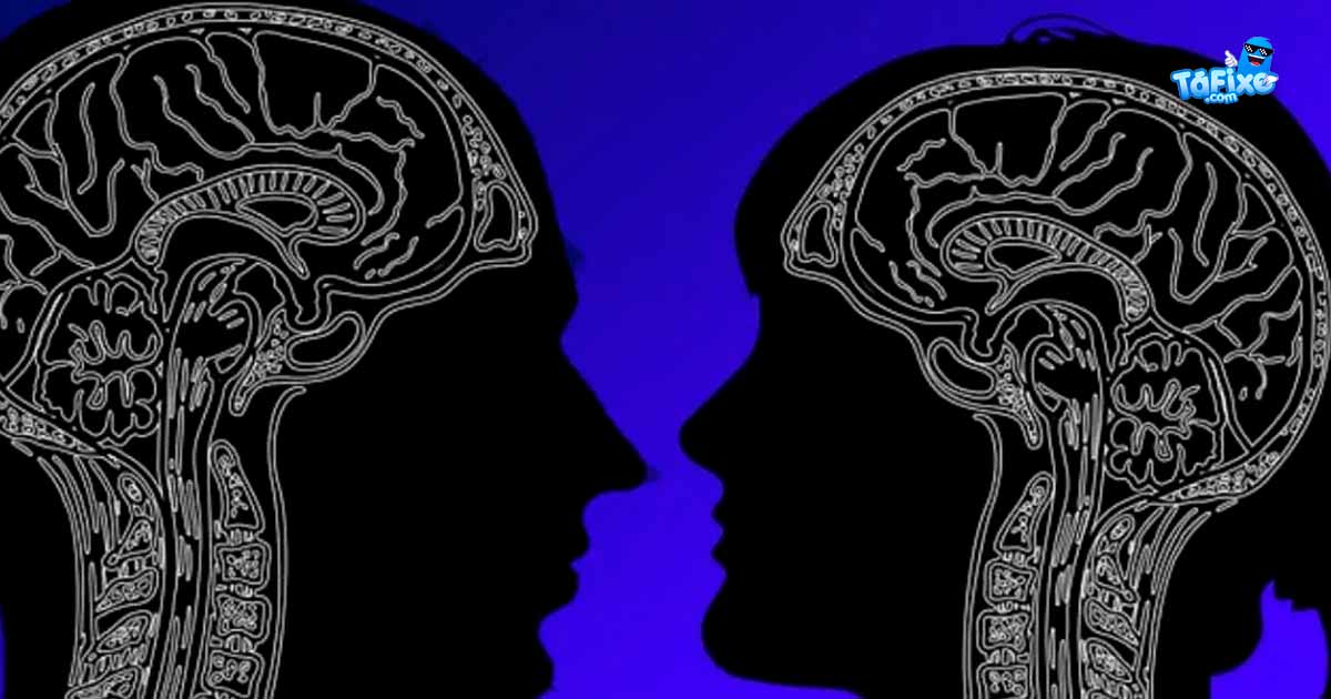 O cérebro do homem é diferente do da mulher?