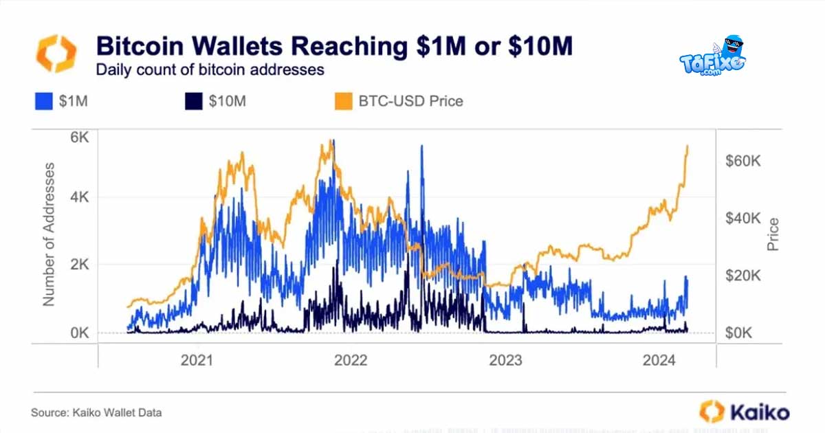 Gráfico carteiras de milionários Bitcoin