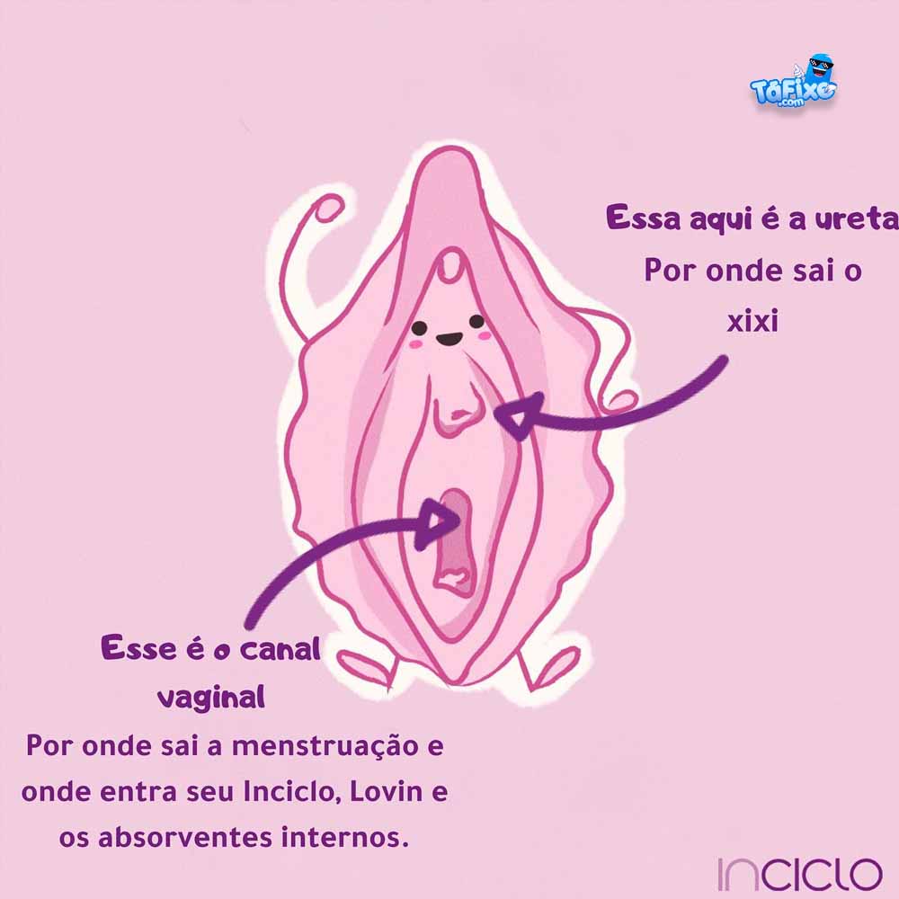 por onde sai o xixi da mulher